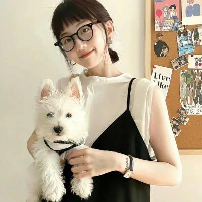 铁面无私封面